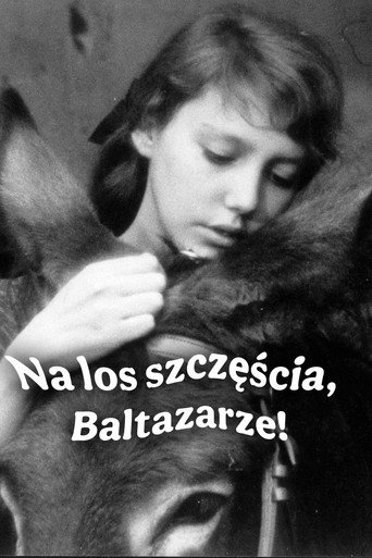 Okładka filmu Na los szczęścia, Baltazarze!