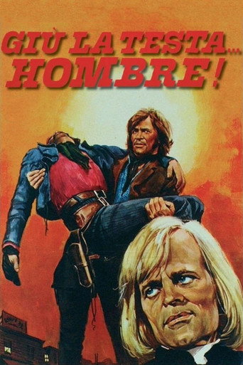 Okładka filmu Adios Compañeros