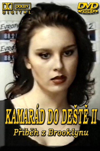 Kamarád do deště II – Příběh z Brooklynu 在线观看和下载完整电影