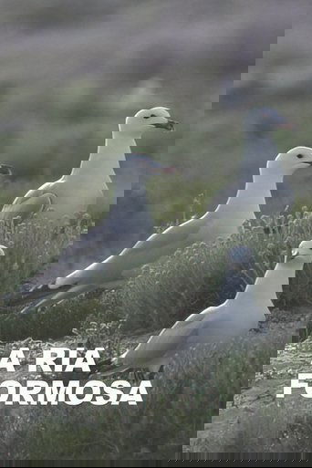 A Ria Formosa