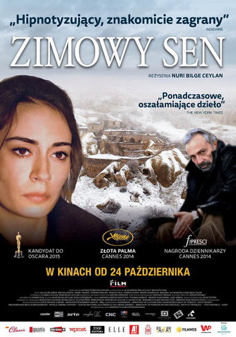 Okładka filmu Zimowy sen