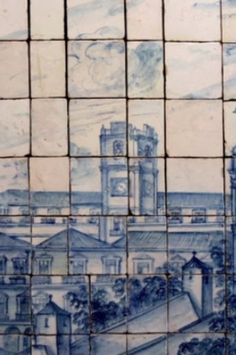 Azulejo or Visual Illusion