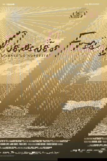 Frei Damião o Santo do Nordeste