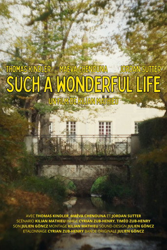 Affiche de Such a Wonderful Life (long version)
