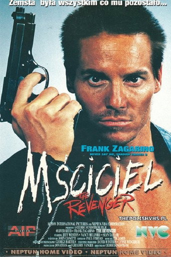 Okładka filmu Mściciel
