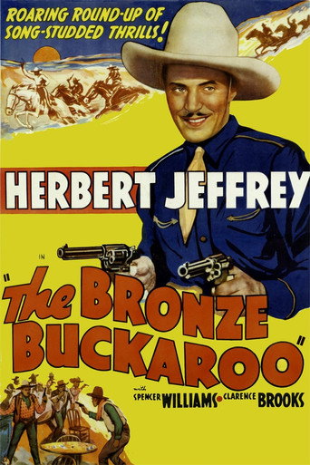 The Bronze Buckaroo 在线观看和下载完整电影