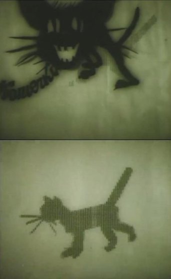 Kitten