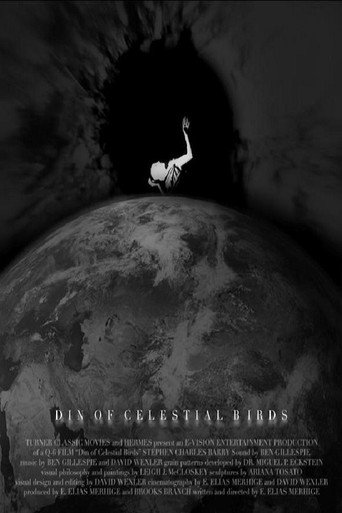 Din of Celestial Birds 在线观看和下载完整电影
