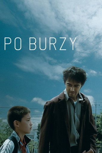 Okładka filmu Po burzy