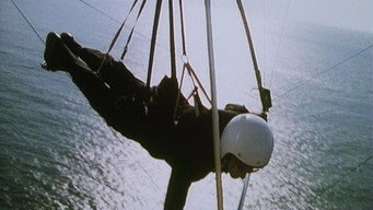 Fall of a Birdman
