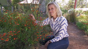 Episode 6 Island Eden, Taste of the Torres Strait & Garden Gnomes