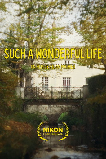 Affiche de Such a Wonderful Life (long version)