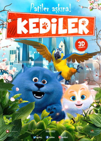 Kediler türkçe dublaj izle