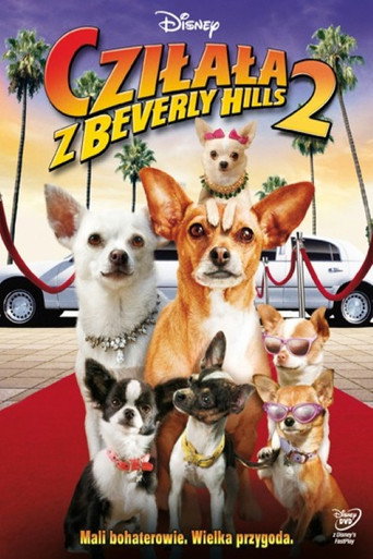 Okładka filmu Cziłała z Beverly Hills 2