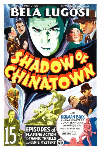 Shadow of Chinatown 在线观看和下载完整电影