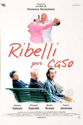 Okładka filmu Ribelli per caso