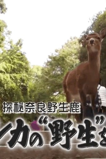 奈良のシカの“野生”を見た