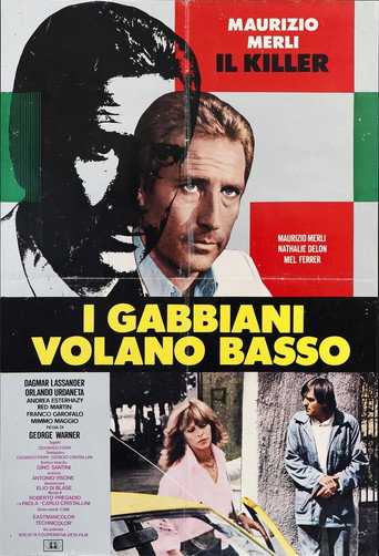 I gabbiani volano basso 在线观看和下载完整电影