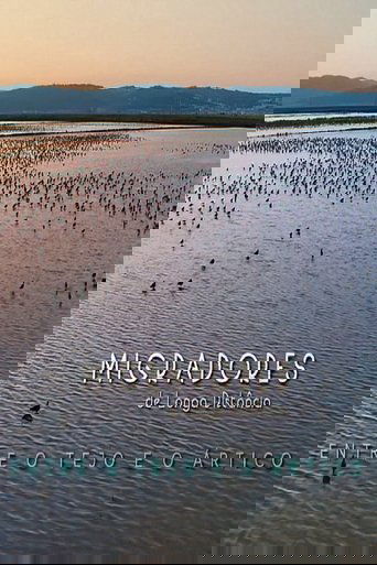 Migradores de Longa Distância: Entre o Tejo e o Ártico