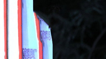 Will Bani Marry Jay?