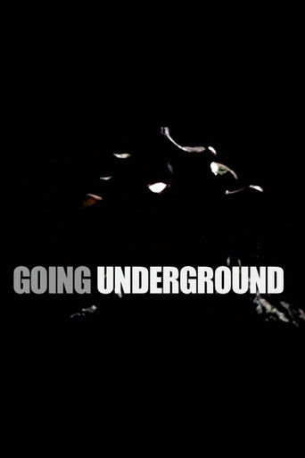 Going Underground