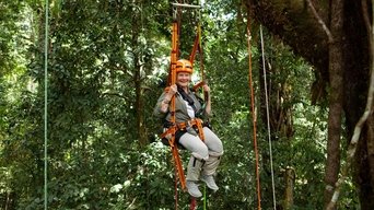 Capa de Judi Dench's Wild Borneo Adventure
