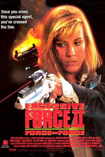 Excessive Force II: Force on Force 在线观看和下载完整电影