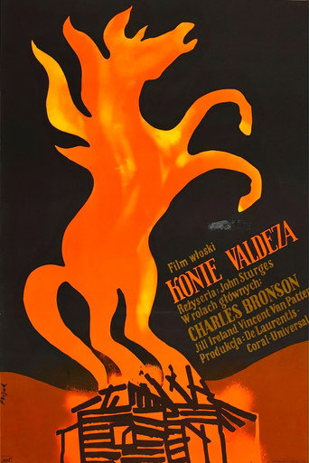 Okładka filmu Konie Valdeza