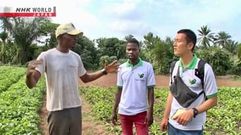 Building a Market for Organic Farmer: Benin