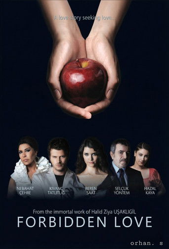 Poster de Forbidden Love