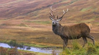 Scottish Highlands