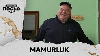 2244 Mamurluk
