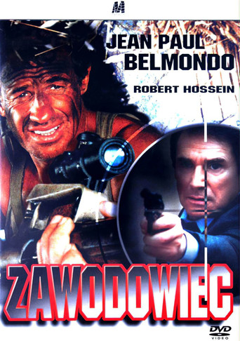 Okładka filmu Zawodowiec