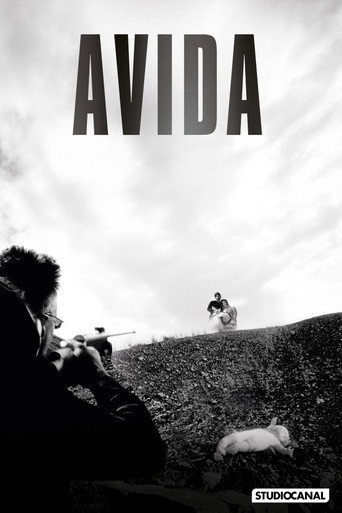 Okładka filmu Avida