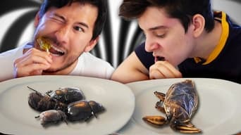 We Eat Bugs