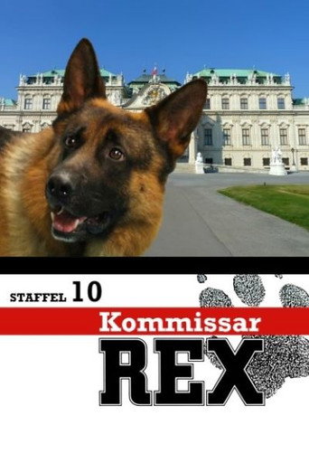 Najnowszy sezon Komisarz Rex - Sezon 10 CDA cały serial