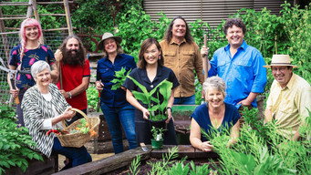 Episode 20 Perennial, Violet, Strappy, Raised, Arid & 100