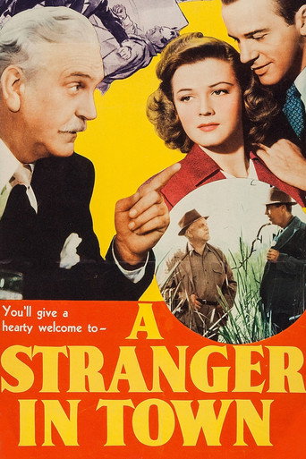 A Stranger in Town 在线观看和下载完整电影