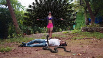 A Stranger Comes to Jay's Rescue!