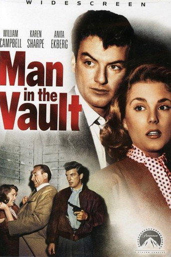 Man in the Vault 在线观看和下载完整电影