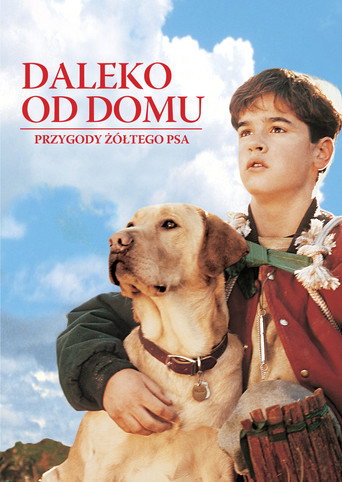 Okładka filmu Daleko od domu: Przygody żółtego psa