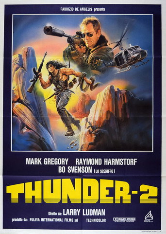 Okładka filmu Thunder II