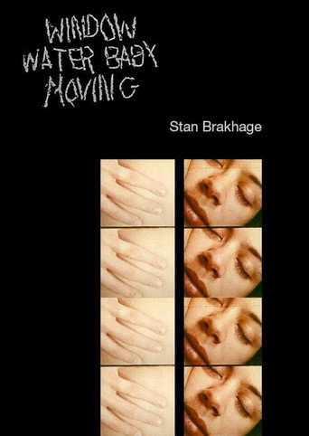 Window Water Baby Moving 在线观看和下载完整电影