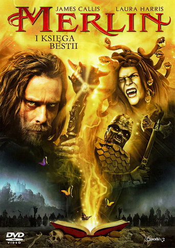 Okładka filmu Merlin i księga bestii