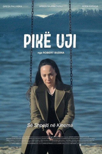 Okładka filmu Pikë uji