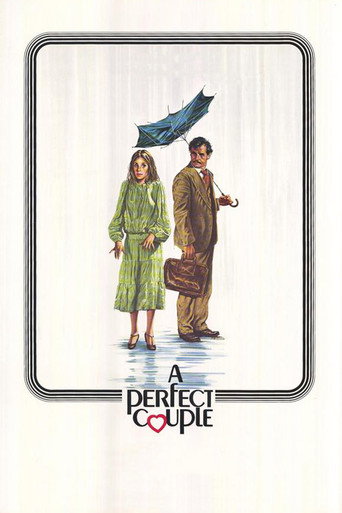 A Perfect Couple 在线观看和下载完整电影