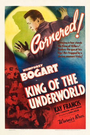 King of the Underworld 在线观看和下载完整电影