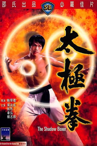 Okładka filmu 太極拳