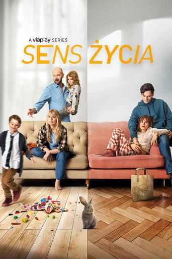 Okładka serialu Sens życia