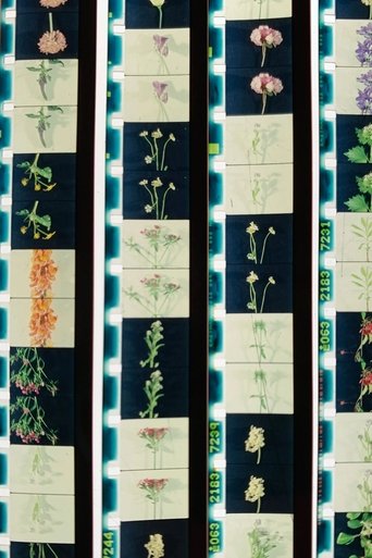 Lover, Lovers, Loving, Love